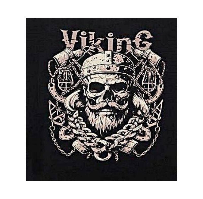 ESPIONAGE VIKING PRINT TEE