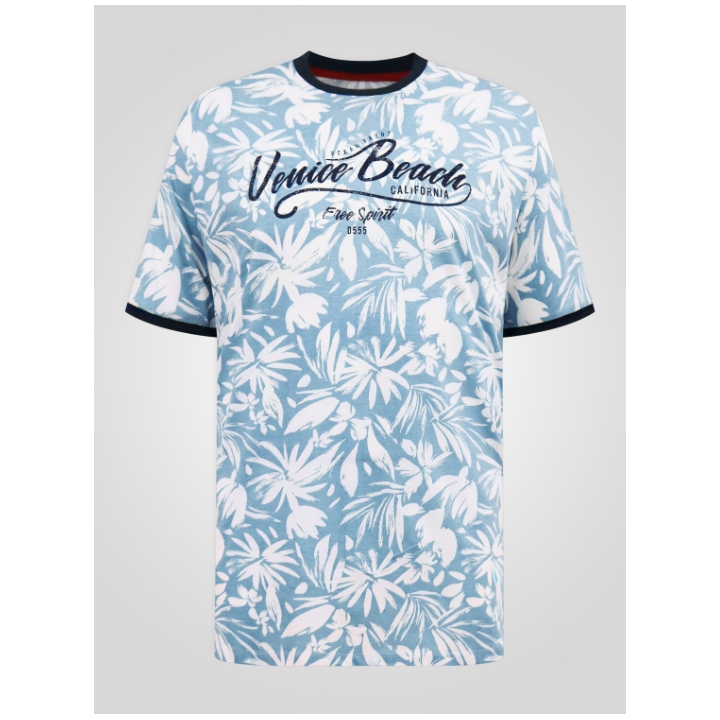 D555 SHOREHAM Big Mens Venice Beach Short Sleeve T-Shirt