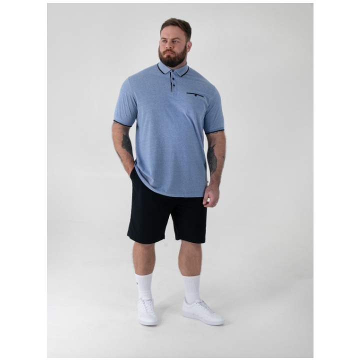 D555 HARVEY 2 Mens Pique Polo with Jacquard Collar BLUE