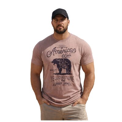 Big Sizes in stock 2XL - 8XL £17.99 KAM American Bear Print Big Tee MAUVE